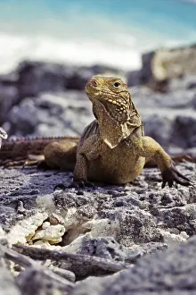 Cayo Largo, Cuba