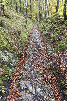 Celtic road, Roman road, Rottweg