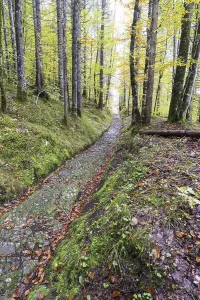 Celtic road, Roman road, Rottweg