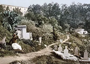 The cemetery, Algiers, Algeria