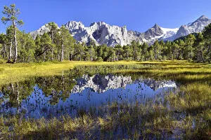 Chaltenbrunnen bog with the Engelhoernern mountains and Rosenlaui Glacier