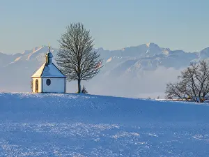 Chapel, tree, morning light, winter