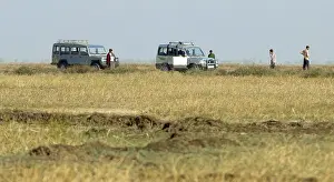 Chari Dhandh Safari, Kutch, Gujarat, India