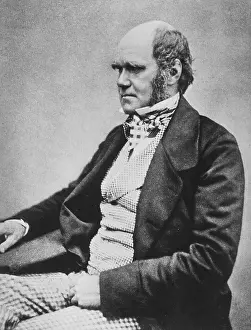 Charles Robert Darwin (12 February 1809 in Shrewsbury - 19 April 1882)