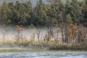 Charming magnetic river fog in early morning of autumn day