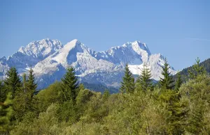 Charming rocks and coniferous forest in Bavarian Alps
