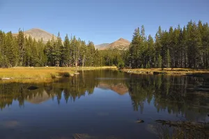 Charming shallow lake. Mountains and forest are reflected in smooth mirror of water