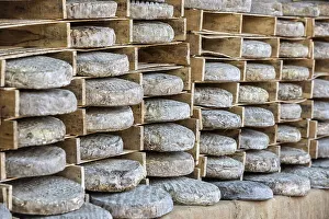 Wonderful Europe! - Culinary Diversity Prints: Whole cheeses at a market in France