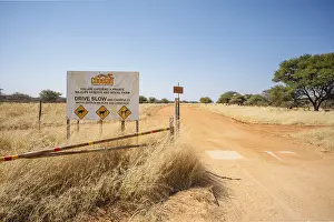 The Cheetah Conservation Fund north of Windhoek