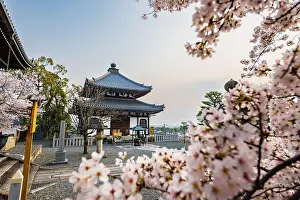 Cherry blossom at Buddhist temple