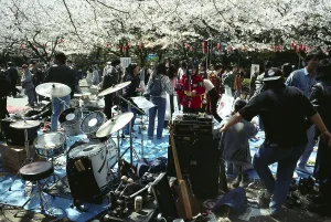 Cherry Blossom Festival, Japan