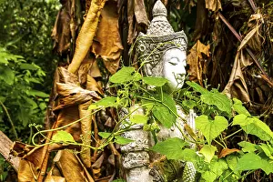 Chiang Mai Amphoe Mueang Chiang Mai Thailand 31