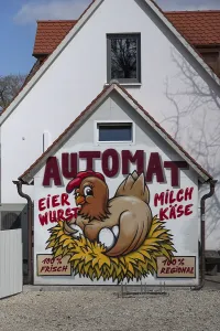 Chicken in a nest, wall painting