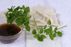 Chickweed tincture, for poultice and compress