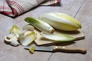 Chicory, chicory salad on wooden board with knife