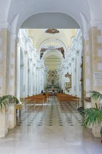 Chiesa di San Carlo al Corso interior
