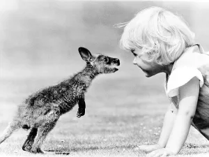 Child and baby kangaroo, England, Great Britain