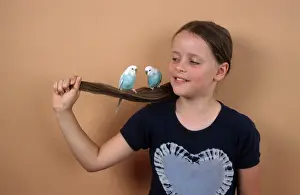 Child with Budgerigars Child with budgerigars (Melopsittacus undulatus)