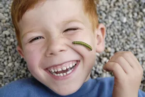Child with a caterpillar on the face exploring the nature nature games