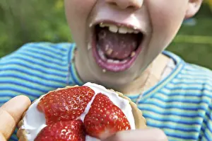 Child eating strawberry tartlet