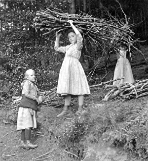 Child labour in a rural area, historic photograph