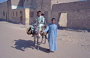 Children, boys on donkeys posing for photo