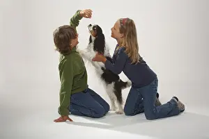 Children with Cavalier King Charles Spaniel