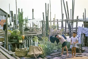 Children in fishing village on stilts with attap houses of Singapore