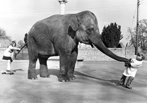 Children play with elephant, England