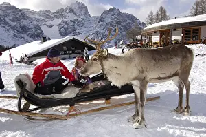 Children on a reindeer sleigh on the Rotwand or Pietrarossa Mountain