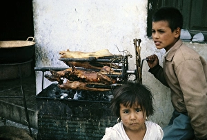Children roasting guinea pigs on a spit at the market in Ambato, Ecuador, South America, 1962, South America