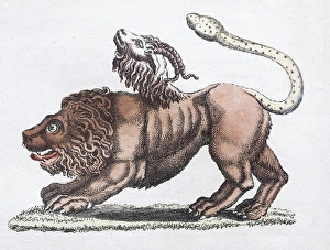 Chimera or Chimaera, mythical creature