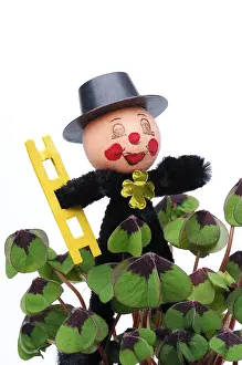 chimney sweep as a good luck charm with clovers