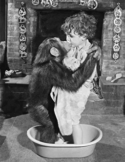 Chimpanzee bathes with child, England
