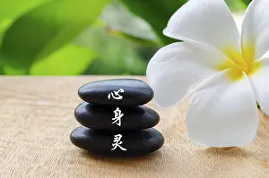 Chinese characters meaning Mind
