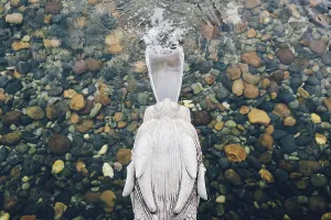 Chinese dragon head water fountain