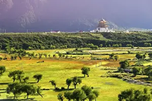 Chinese pagoda on a vast meadow in Tibet