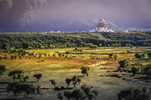 Chinese pagoda on a vast meadow in Tibet