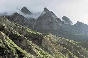 Chirbasa, Gangotri, Uttaranchal, India