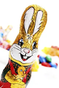 Chocolate easter bunny