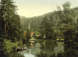 Christianental Game Park near Wernigerode in the Harz Mountains