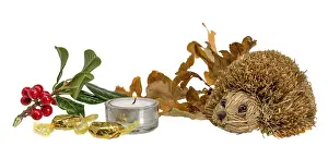 Christmas decoration with autumn leaves