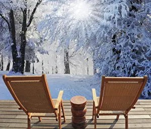Christmas in the forest. Trees covered with snow