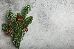 Christmas and New Year flat lay composition frame with green fir tree branch
