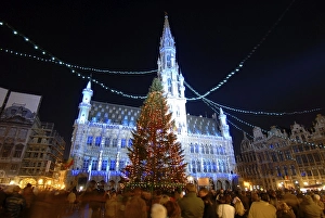 City Hall and Christmas Tree in the Evening