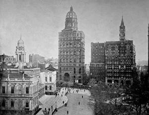 At the City Hall Park in New York