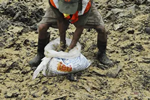 Category Historic EN Prints: Civic health worker spreading zipper on oil spill Bombay Mumbai
