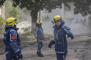Category Wildlife DE Prints: Civil defence exercise scenario