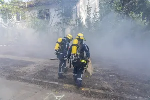 Category Wildlife DE Prints: Civil defence exercise scenario