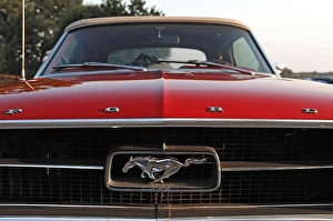 Detail of a classic car, radiator grille and emblem of a Ford Mustang Convertible